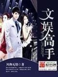 网游之全职猎人
