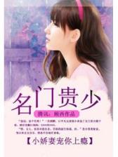 胤禛嫡妻 作者：幸运快三精准计划