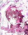 京城太子爷 作者：如意彩票app