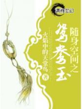 囧囧仙妻 作者：天博最新版APP科技