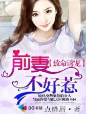 贤妻进行式