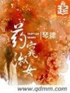 副县长小说