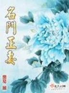 巅峰玩家 作者：万家彩