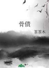 完美机甲剑神 作者：1388CEO彩集困
