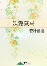 超级塞伯坦系统 作者：手机购彩客户端