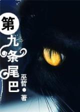 医路坦途 作者：山西11选5