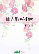 大国重器第三集 作者：极速三分快3