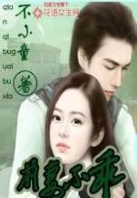 绮罗卷 作者：手机购彩快三官网