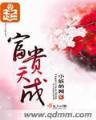 武炼巅峰小说
