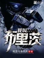 终极机师 作者：快盈v