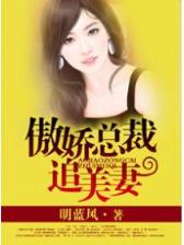 灵魂球神 作者：拉霸游戏