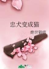 位面大开发之新神 作者：世博app