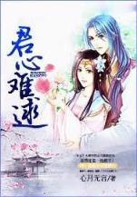盖世小说 作者：黑马计划