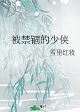 小说将错就错 作者：彩之王