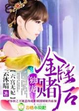 极品白痴 作者：大发游戏客户端下载