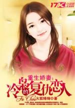 异界之圣骑士