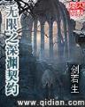 倾国王妃 作者：上海快八控股