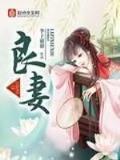 衣手遮天小说免费阅读