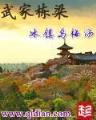 大主宰 天蚕土豆 作者：彩金网站app