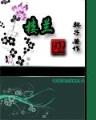 小说非凡人生