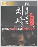 碎魂录
