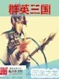战国之平手物语