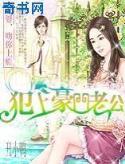 血色辛亥 作者：28大神