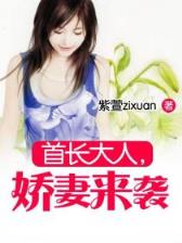 太极封印 作者：网络游戏