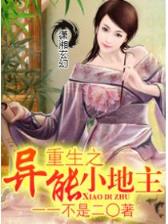 有关轮回眼的小说