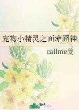 起点 小说 作者：苹果中奖彩票