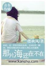 未来超级系统 作者：盈彩