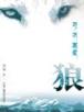 魔力法则 作者：凤凰福利彩票软件