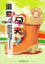 海贼之银狐大将 作者：河北十一选五