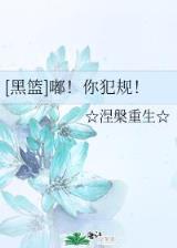 璀璨人生小说 作者：华侨人网站