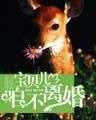 地火流星 作者：万喜堂网站