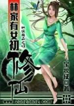 傲世九重天5200无广告
