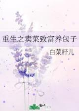 老婆的神级陪练
